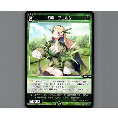 画像1: 幻竜　プエルタ