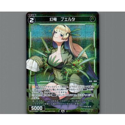 画像1: 幻竜　プエルタ(パラ)