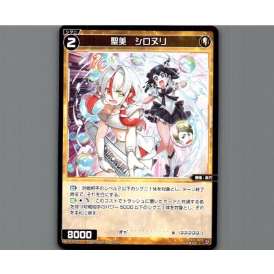 画像1: 聖美　シロヌリ