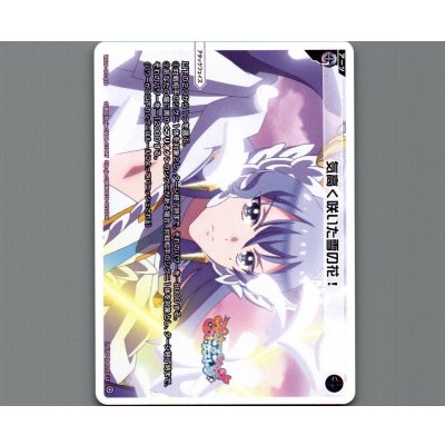 画像1: 気高く咲いた雪の花！