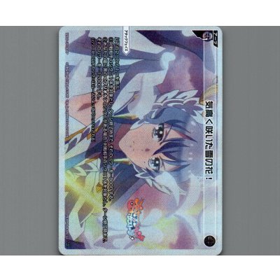 画像1: 気高く咲いた雪の花！(パラ)