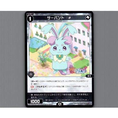 画像1: サーバント #