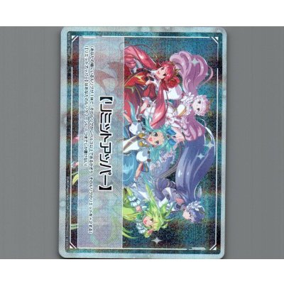 画像1: リミットアッパー(パラ)