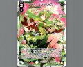 メル＝エンゼルキス