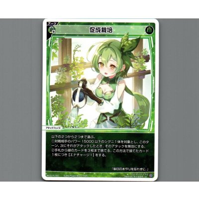 画像1: 促成栽培