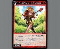 コードライド　サファリバス