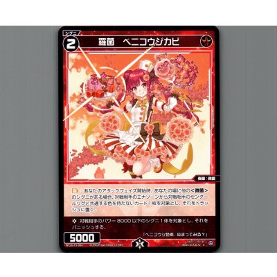 画像1: 羅菌　ベニコウジカビ