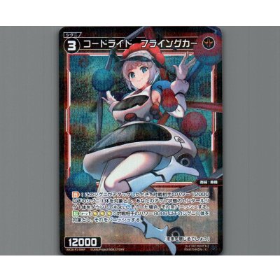 画像1: コードライド　フライングカー(パラ)