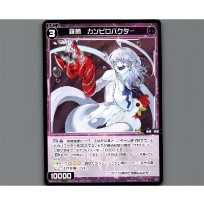 画像1: 羅菌　カンピロバクター