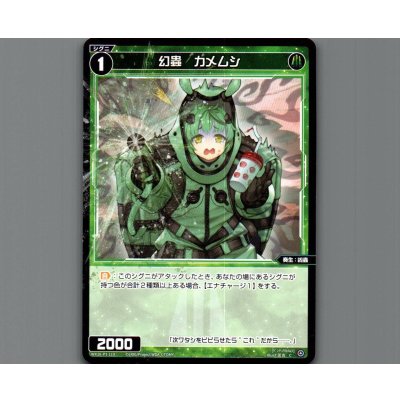 画像1: 幻蟲　カメムシ