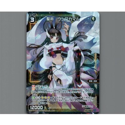 画像1: 聖将　ウシワカマル(パラ)