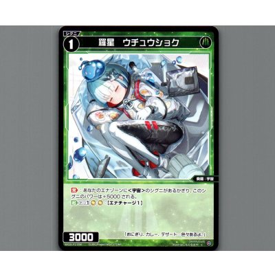 画像1: 羅星　ウチュウショク