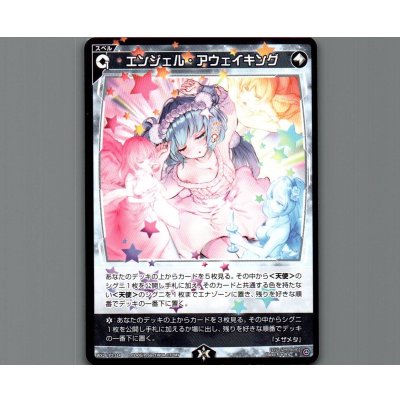 画像1: エンジェル・アウェイキング