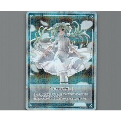 画像1: 【リミットアッパー】(パラ)