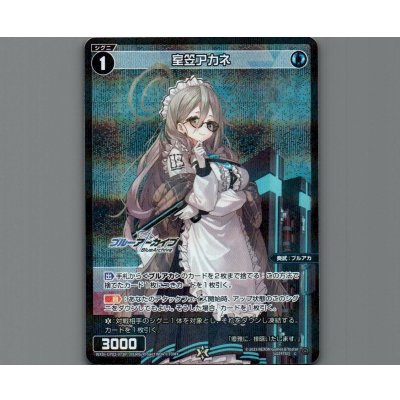 画像1: 室笠アカネ(パラ)