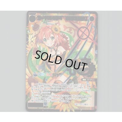 画像1: コード2434 本間ひまわり(SCR)