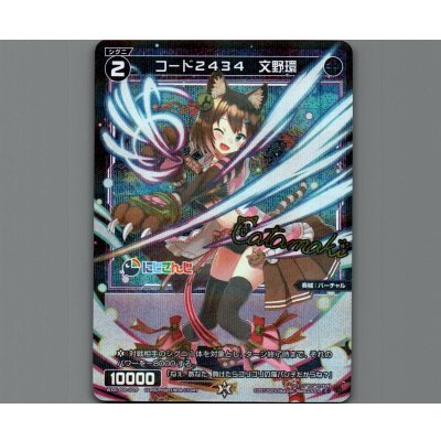 画像1: コード2434 文野環(パラ)