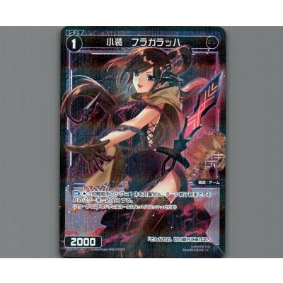 画像1: 小装 フラガラッハ(パラ)