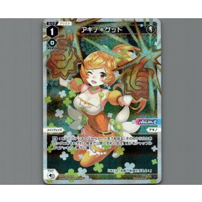 画像1: アキノ＊グッド(パラ)