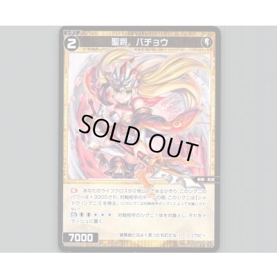 画像1: 聖将 バチョウ