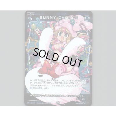 画像1: BUNNY CHARGE(パラ)