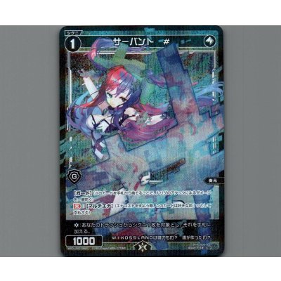 画像1: サーバント #(パラ)