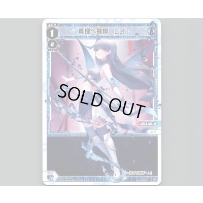 画像1: 真理へ飛翔 レイ