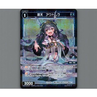 画像1: 蒼天 アウドムラ(パラ)