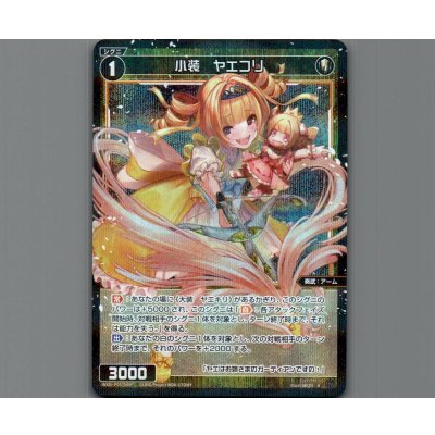 画像1: 小装 ヤエコリ(パラ)