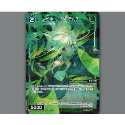 画像1: 幻水 ポリプテルス(パラ)