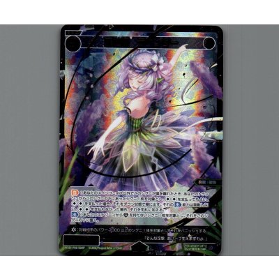 画像1: 羅植姫 ラベンダー(SRP)