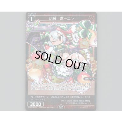 画像1: 小装 ボーニャ(パラ)