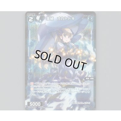 画像1: 羅植 オカトトキ(パラ)