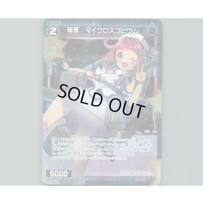 画像1: 羅星 マイクロスコピウム(パラ)