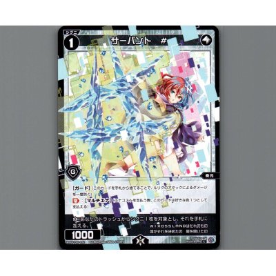 画像1: サーバント #