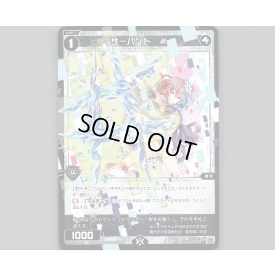 画像1: サーバント #