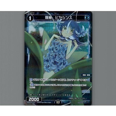 画像1: 羅植 ヒヤシンス(パラ)