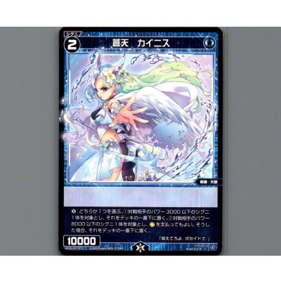 画像1: 蒼天 カイニス