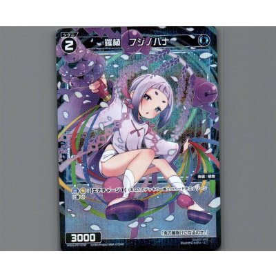 画像1: 羅植 フジノハナ(パラ)