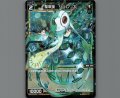聖翠美 シュレリス(パラ)