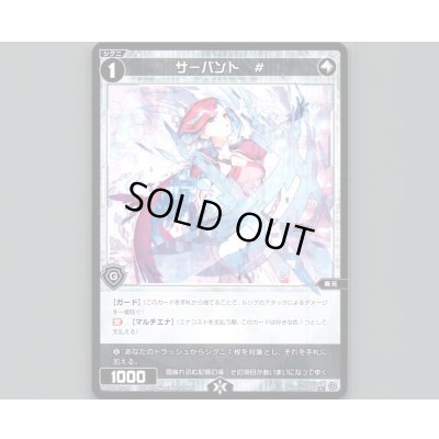 画像1: サーバント #