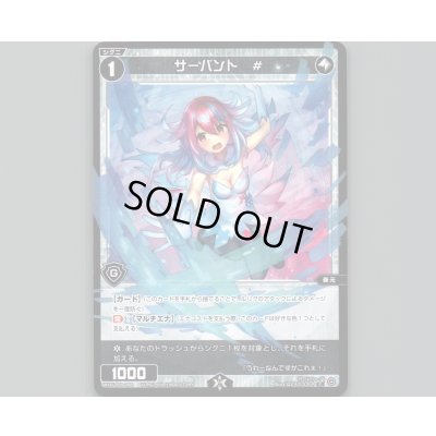 画像1: サーバント #