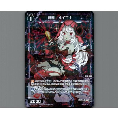 画像1: 羅菌 オイゴナ(パラ)