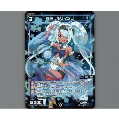 画像1: 羅植 ルリマツリ(パラ)