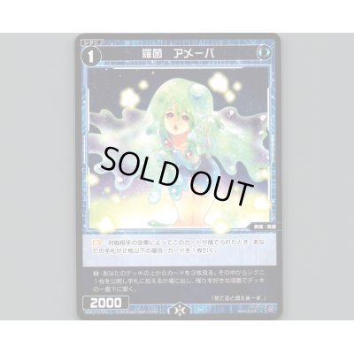 画像1: 羅菌 アメーバ