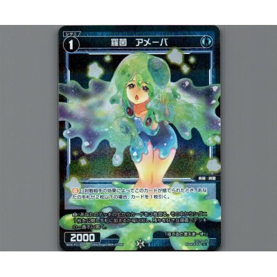 画像1: 羅菌 アメーバ(パラ)