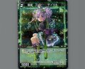 羅植 アイビー//ディソナ(パラ)
