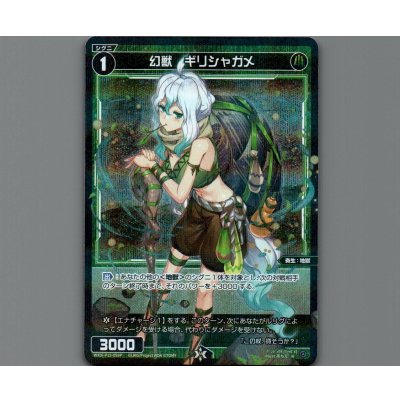 画像1: 幻獣　ギリシャガメ(パラ)