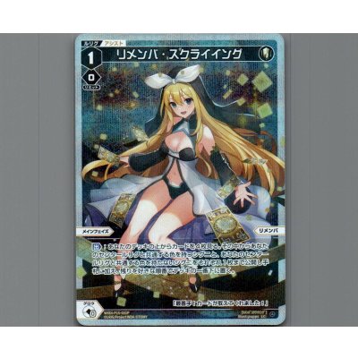 画像1: リメンバ・スクライイング(パラ)