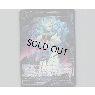 画像1: 羅星姫　コスチュム//THE DOOR(SRP)